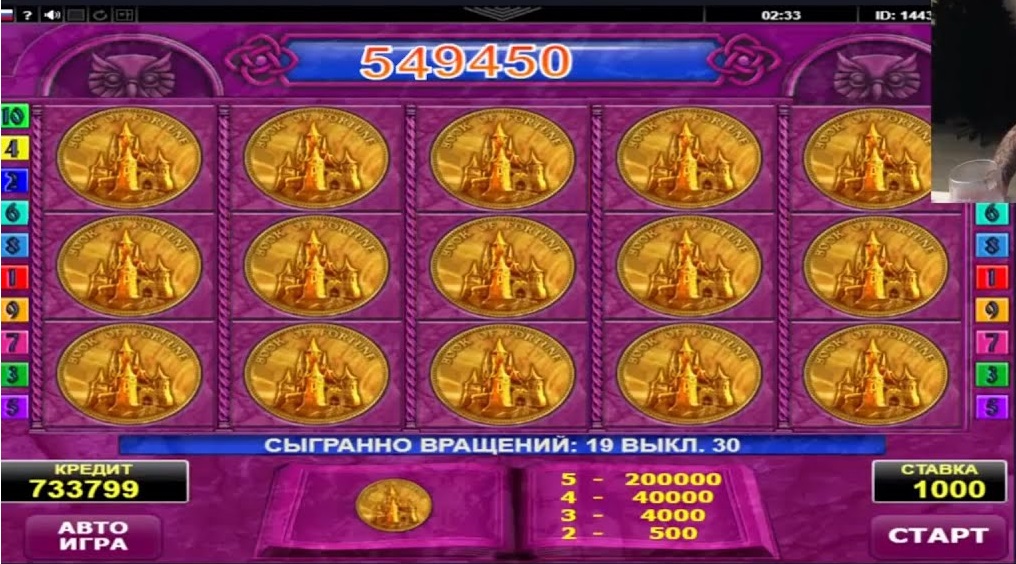 Book of Fortune от провайдера Amatic