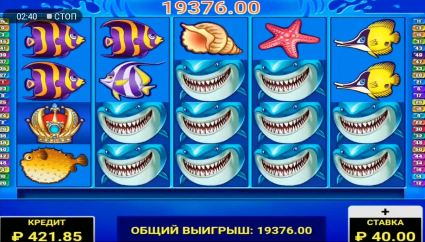 Wild Shark от провайдера Amatic